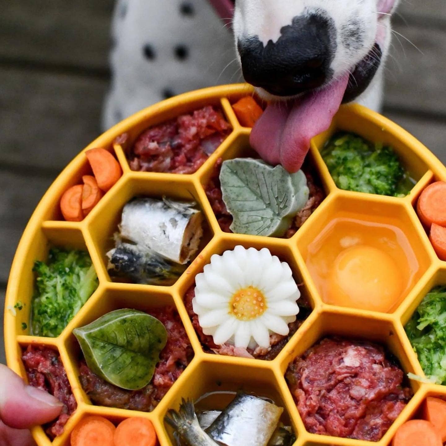 SodaPup Dog Toys - Honeycomb Design eBowl Enrichment Slow Feeder Bowl for Dogs: Blue